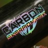 Skorpion Carbon Stick