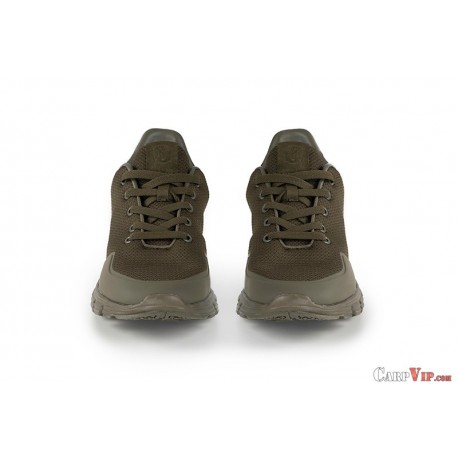 Fox Olive trainer