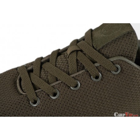 Fox Olive trainer