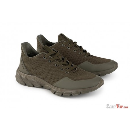 Fox Olive trainer