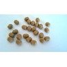 Imitation Tiger Nut Dense