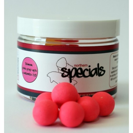 Gaz Fareham's Nothern Special Pop Up Pink Gaz Fareham's Nothern Special Pop Up Pink