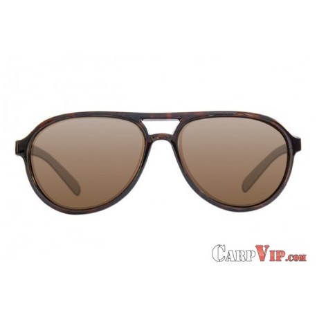 Sunglasses Aviator Tortoise Frame / Brown 