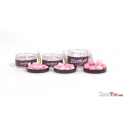 Citruz Pink