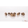 Scopex Squid Boilies 1 kg