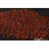 Bloodworm Bag Mix 1 kg