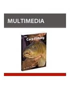 Multimedia