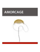 Amorçage